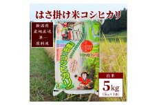 【数量限定】令和5年産 新潟上越清里産 はさ掛け米コシヒカリ5kg(5kg×1袋)白米 こしひかり コシヒカリ 米