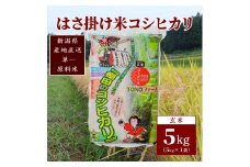 【数量限定】令和5年産 新潟上越清里産 はさ掛け米コシヒカリ(5kgx1袋)玄米 こしひかり コシヒカリ 米