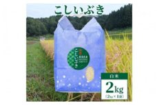 令和5年産【数量限定】新潟上越清里東戸野産　新潟県限定品種こしいぶき2kg（2kg×1） 白米 おすすめ 新潟