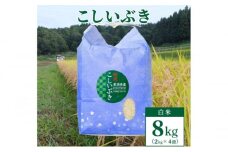 【数量限定】令和5年産　新潟上越清里東戸野産　新潟県限定品種こしいぶき8kg（2kg×4） 白米 おすすめ 新潟