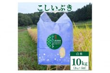 【数量限定】令和5年産　新潟上越清里東戸野産　新潟県限定品種こしいぶき10kg（2kg×5袋） 白米 新潟 上越