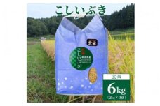 【数量限定】令和5年産　新潟上越清里東戸野産　新潟県限定品種こしいぶき6kg（2kg×3袋） 玄米 新潟 上越