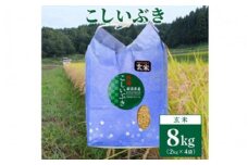 【数量限定】令和5年産　新潟上越清里東戸野産　新潟県限定品種こしいぶき8kg（2kg×4袋） 玄米 新潟 上越