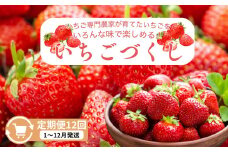 定期便 12回【1～12月発送】いちごづくし定期配送 苺 いちご 冷凍いちご いちごアイス シャーベット ジャム