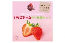 いちご いちごジャム作り 体験キット イチゴ イチゴジャム