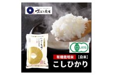 米 【令和6年産】 新潟県上越産 有機栽培米 コシヒカリ 【白米】 5kg×1袋 お米 こめ 白米 食品 人気 おすすめ にいがた 上越 上越産