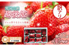 定期便 2回【5～6月発送】訳あり越後姫 約200g×10定期配送 越後姫 えちごひめ 苺 いちご 訳あり 新潟