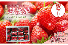 いちご 訳あり 越後姫 約200g×10パック セット イチゴ 苺