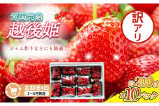 定期便 4回【3～6月発送】訳あり越後姫 約200g×10定期配送 越後姫 えちごひめ 苺 いちご 訳あり 新潟