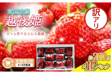 定期便 3回【4～6月発送】訳あり越後姫 約200g×10定期配送 越後姫 えちごひめ 苺 いちご 訳あり 新潟