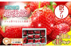 定期便 5回【2～6月発送】訳あり越後姫 約200g×10定期配送 越後姫 えちごひめ 苺 いちご 訳あり 新潟