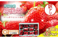 定期便 6回【1～6月発送】訳あり越後姫 約200g×10定期配送 越後姫 えちごひめ 苺 いちご 訳あり 新潟
