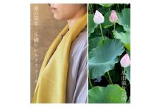 ストール 高田城址公園 蓮の葉染 手織りシルクストール 手織り シルク 新潟 上越 上越市