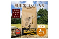極少量米 ： 数量限定 令和5年産 新潟県上越市大島区産 棚田米コシヒカリ 2kg (2kg×1) 玄米 こしひかり