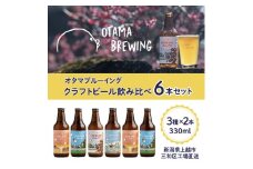 クラフトビール 飲み比べ 6本 セット 新潟県上越市 330ml 定番4種から3種×2本 工場直送 ビール