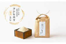 令和6年産 棚田米 上越市板倉産コシヒカリ 5kg  新米 精米　新潟 米 新潟県 こしひかり 限定 おすすめ