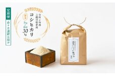 令和6年産 棚田米 上越市板倉産 コシヒカリ 定期便 【6ヶ月連続お届け】5kg×6回 30kg  新米　精米　新潟 米 新潟県 こしひかり 限定 おすすめ