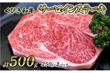 【にいがた和牛】くびき和牛　サーロインステーキ(250g×2枚)  上越市 牛肉 和牛