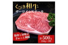 【にいがた和牛】くびき和牛　サーロインステーキ(250g×2枚)  上越市 牛肉 和牛