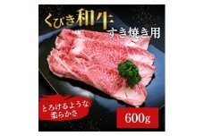【にいがた和牛】くびき和牛　すき焼き用(600g×1パック)  上越市 牛肉 和牛