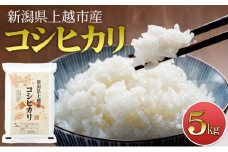 【先行予約　10月中旬より順次出荷】　令和7年度産　新潟県上越市産　コシヒカリ5kg 米 新米 こしひかり ご飯 精米 お米 新潟