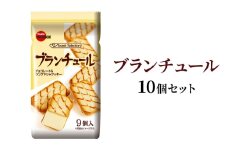 ブランチュール×10個 上越市 菓子 焼き菓子 おやつ