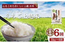 令和6年 新米 新潟県産コシヒカリ えちご上越米　定期便 【6ヶ月連続お届け】5kg×6回 30kg 新潟 米 新潟県 こしひかり 限定 おすすめ　定期便　お届け：寄附の入金の翌月より計6回、毎月中旬ごろに発送いたします。