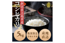 令和7年度産　上越市産コシヒカリ　5kg　新米　精米　新潟　米　新潟県　こしひかり　限定　おすすめ