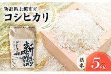 【先行予約　9月中旬より順次出荷】令和7年度産　新潟県上越市産　コシヒカリ（特別栽培米）　5kg 米 お米 こしひかり ご飯 精米 新潟 上越
