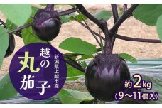 新潟県上越市産　茄子の大トロ　越の丸茄子2kg詰め（9個～11個入）ナス　丸茄子　野菜　新潟　上越