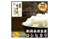 新潟県 清里産コシヒカリ 5kg 上越市　白米　こめ　新潟 新潟県産 上越