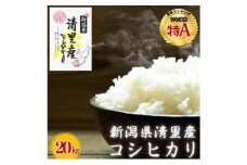 新潟県 清里産コシヒカリ 20kg 上越市　白米　こめ　新潟 新潟県産 上越