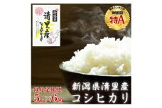 新潟県 清里産コシヒカリ 定期便　5kg×6か月 30kg 上越市　白米　こめ　新潟 新潟県産 上越