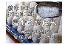 雪むろ棚田米コシヒカリ　5kg精白米2袋 新潟県 上越市 新潟産 米 コメ
