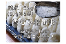 雪むろ棚田米コシヒカリ　5kg精白米3袋 新潟県 上越市 新潟産 米 コメ