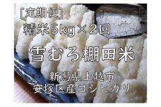 雪むろ棚田米コシヒカリ5kg精白米[定期便]毎月発送(計2回) 新潟県 上越市 新潟産 米 コメ