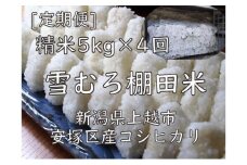 雪むろ棚田米コシヒカリ5kg精白米[定期便]毎月発送(計4回) 新潟県 上越市 新潟産 米 コメ
