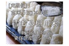 雪むろ棚田米コシヒカリ5kg玄米[定期便]毎月発送(計4回) 新潟県 上越市 新潟産 米 コメ