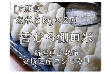 雪むろ棚田米コシヒカリ2kg玄米[定期便]毎月発送(計2回) 新潟県 上越市 新潟産 米 コメ