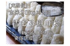 雪むろ棚田米コシヒカリ20kg玄米[定期便]毎月発送(計2回) 新潟県 上越市 新潟産 米 コメ
