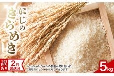 【訳あり】2月発送分 新潟 にじのきらめき 5kg 上越市 精米 米 新潟県 おすすめ 限定 虹のきらめき