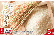 【訳あり】にじのきらめき 5kg 3か月定期便 上越市 精米 米 新潟県 おすすめ 限定 虹のきらめき