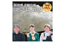 【先行予約10月中旬より順次出荷】令和7年 新潟県産コシヒカリ 5kg 上越市清里区 新潟 精米 従来品種 希少 限定	