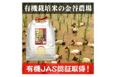 令和6年産 新潟県産アイガモ農法JAS有機栽培米こがねもち 白米9kg（3kg×3）もち米 オーガニック 新潟