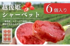 越後姫シャーベット6個 アイス イチゴ 苺 デザート おやつ 上越市 新潟