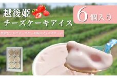 越後姫チーズケーキアイス6個 ケーキ イチゴ 苺 アイスケーキ チーズケーキ デザート おやつ 冷凍 上越市 新潟