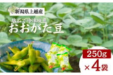 塩茹で冷凍枝豆　おおがた豆 枝豆 豆 えだまめ おつまみ 冷凍 新潟県 上越市