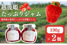 越後姫　ジャム2個入り イチゴ 苺 ジャム 上越市 新潟