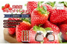 【ふるさと納税限定　先行予約で苺ジャムと苺のフリーズドライをセットにしました】越後姫 大粒 約400g×1パック (9～15粒入り)フリーズドライとジャムのセット イチゴ 苺 上越市 新潟