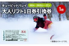 キューピットバレイ2024-2025シーズン大人リフト1日券引換券 新潟県 上越市 旅行 スキー スノーボード リフト券
